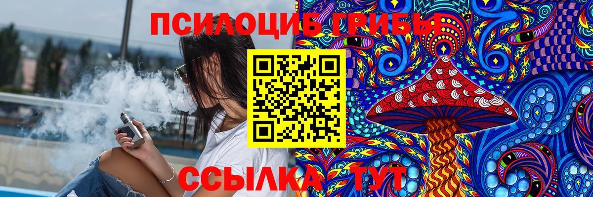 Псилоцибиновые грибы Psilocybine cubensis  Вход с VPN  Тула 